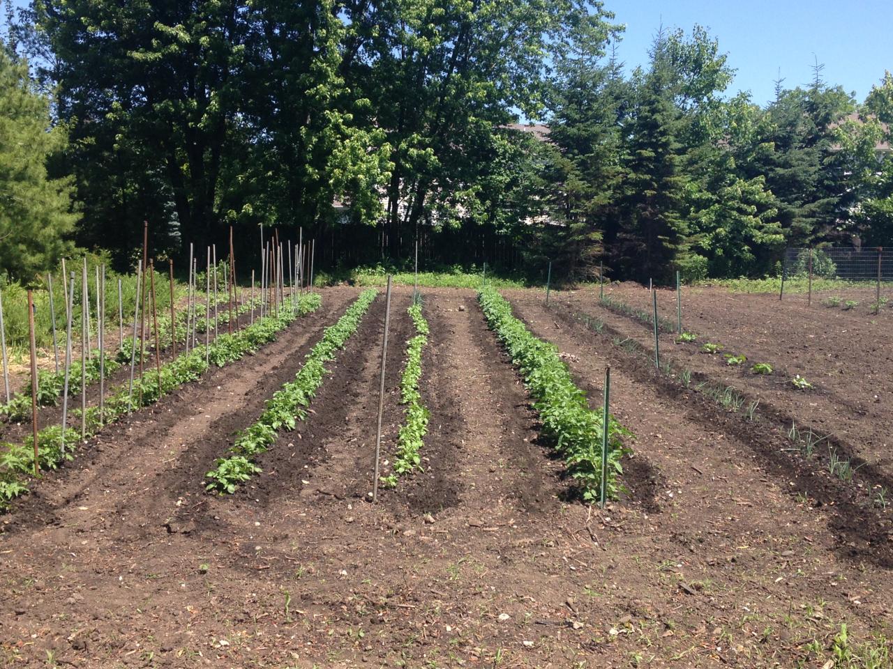 River Valley Gardens Inc. Garden Soil